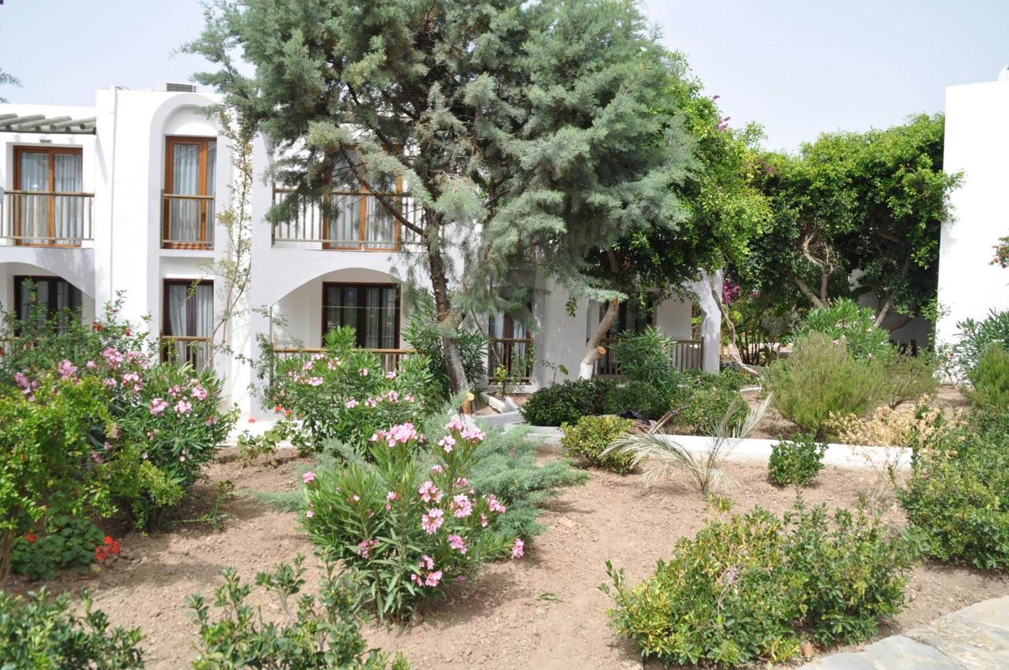 Gumbet Cove Hotel Cameră foto